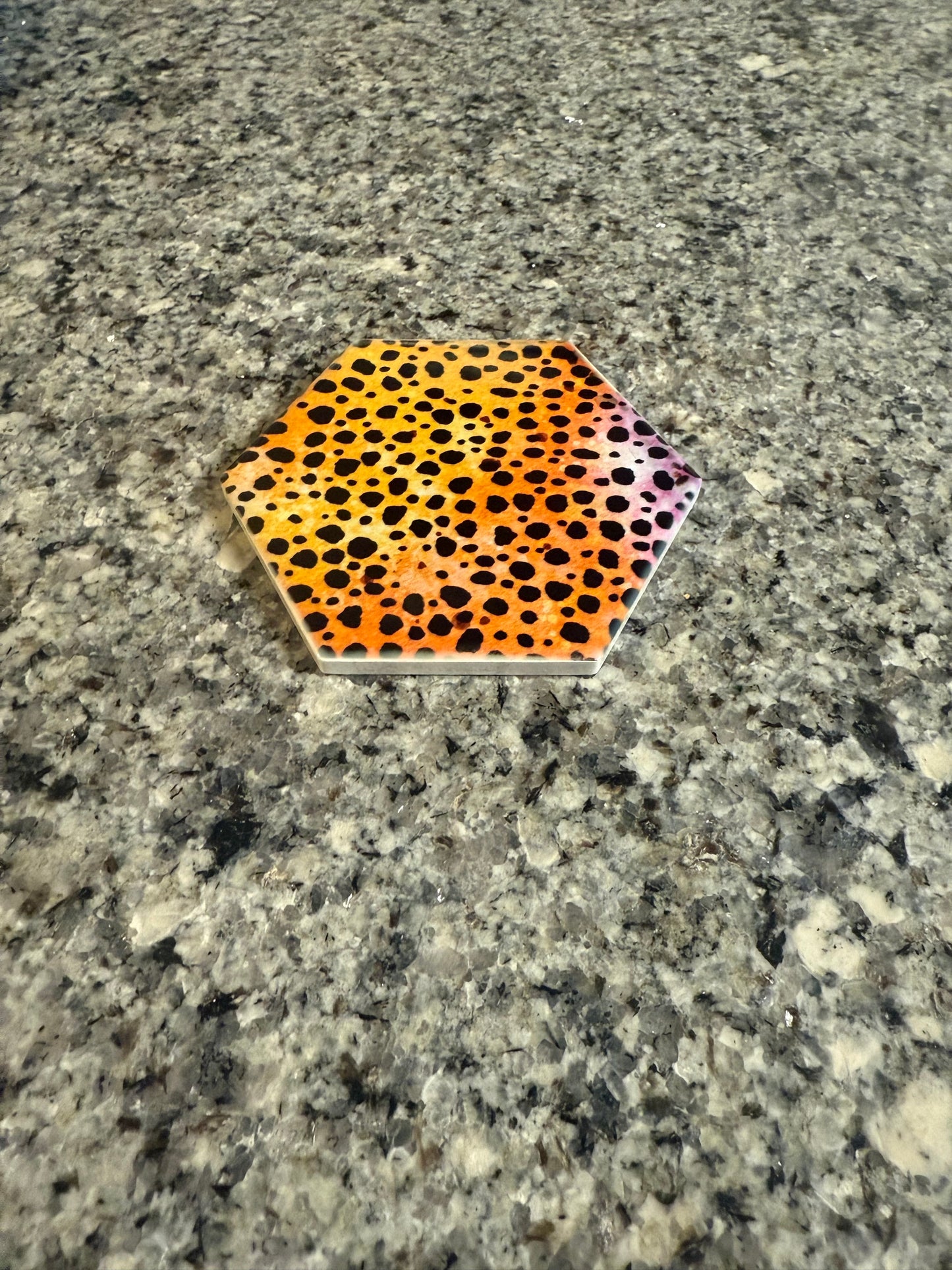 Animal Print - Kitchen Coaster