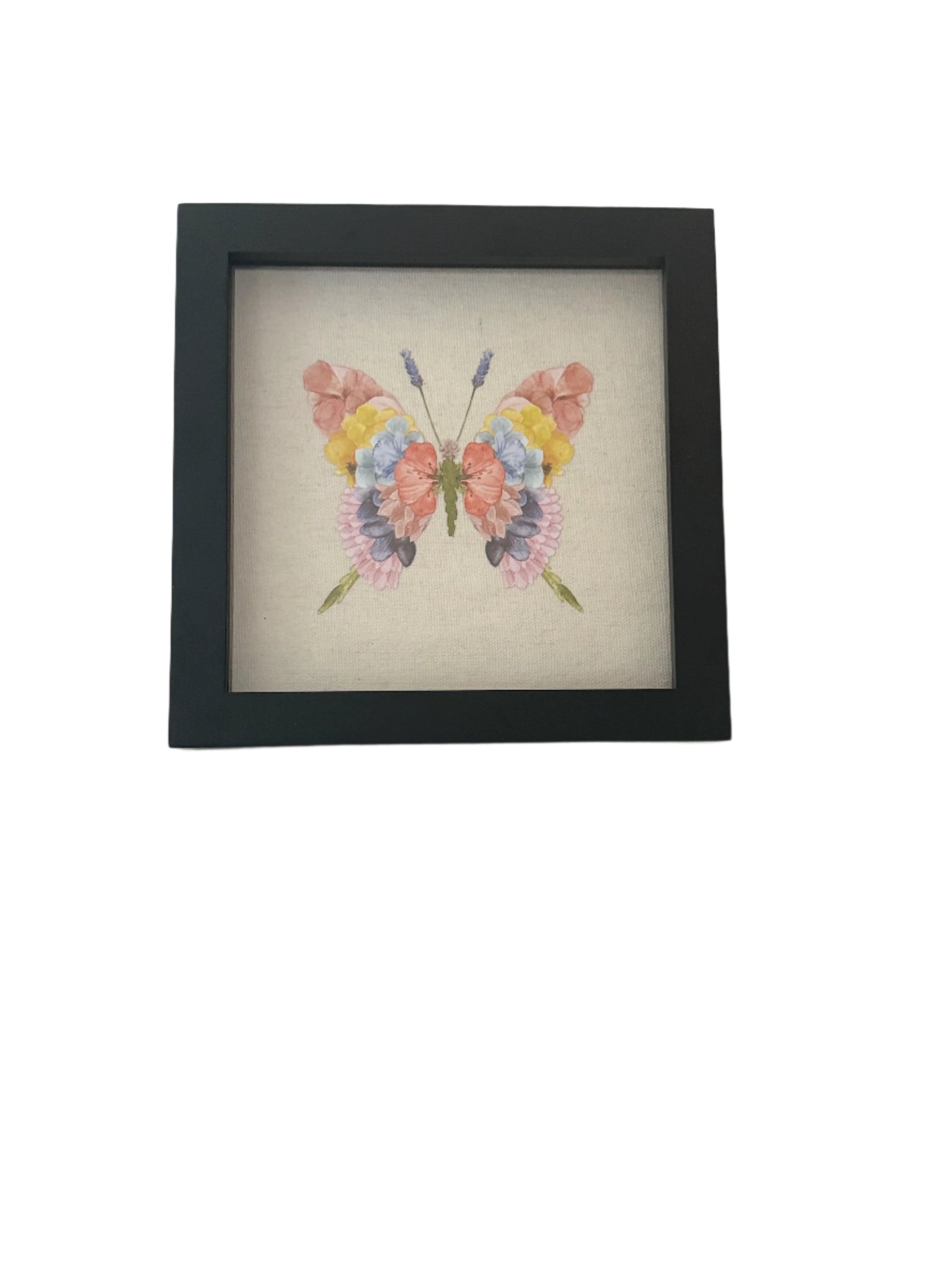 Shadow Box - Butterfly